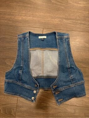 American Eagle Outfitters Blue Denim Vest